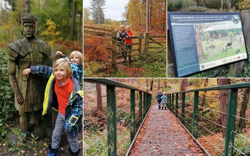 Exploring Broxbourne Woods in Hertfordshire.