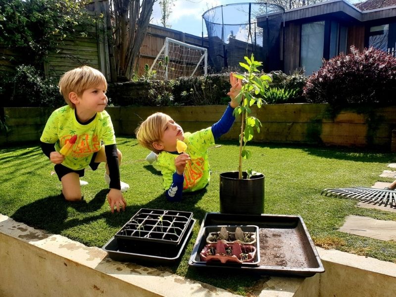 Grow seedlings in egg boxes.