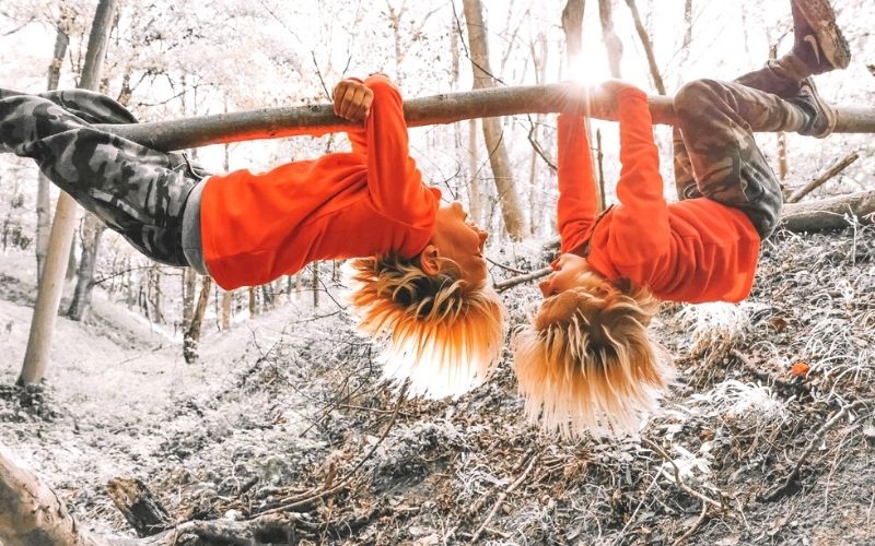 Kids hanging upside down on a tree on a Hertfordshire walk.