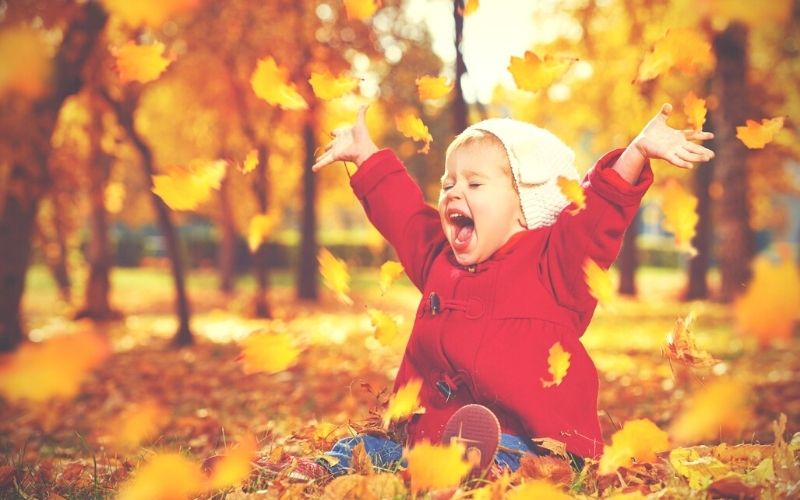 Toddler having fun outdoors in the autumn leaves.