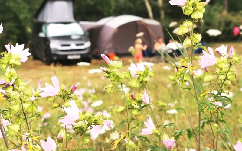 campervan in a field of flowers.