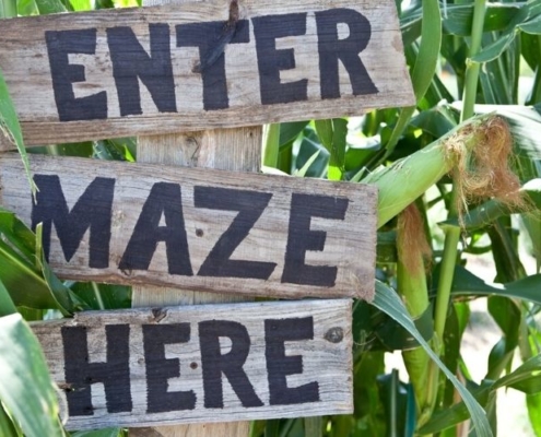 Enter maze here sign.