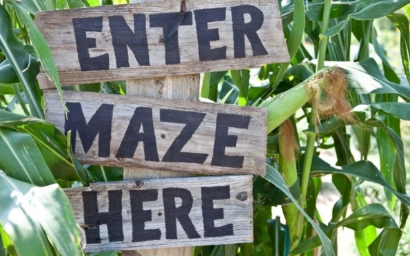 amazing maze and maize
