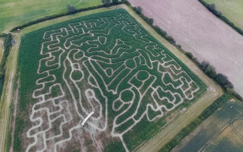 Grange Farm Maze.