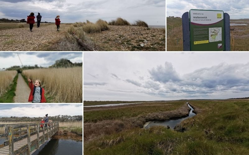 Sights from a Walberswick Nature Reserve walk.