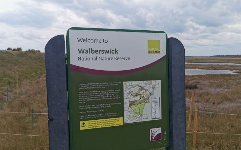 Walberswick Nature Reserve.