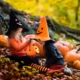 Two children dressed in Halloween costumes in a wood with pumpkins.