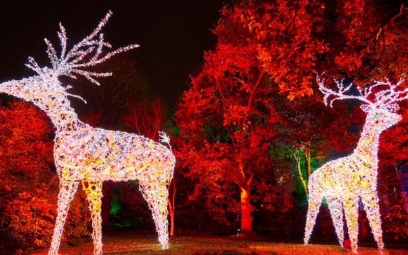 Wimpole Estate Winter Lights Trail one of the best Christmas events in Cambridgeshire.