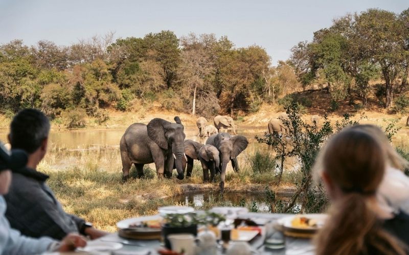 Watching elephants at the watering hole at Simbavati River Lodge, one of the best Kruger National Park accommodation for families