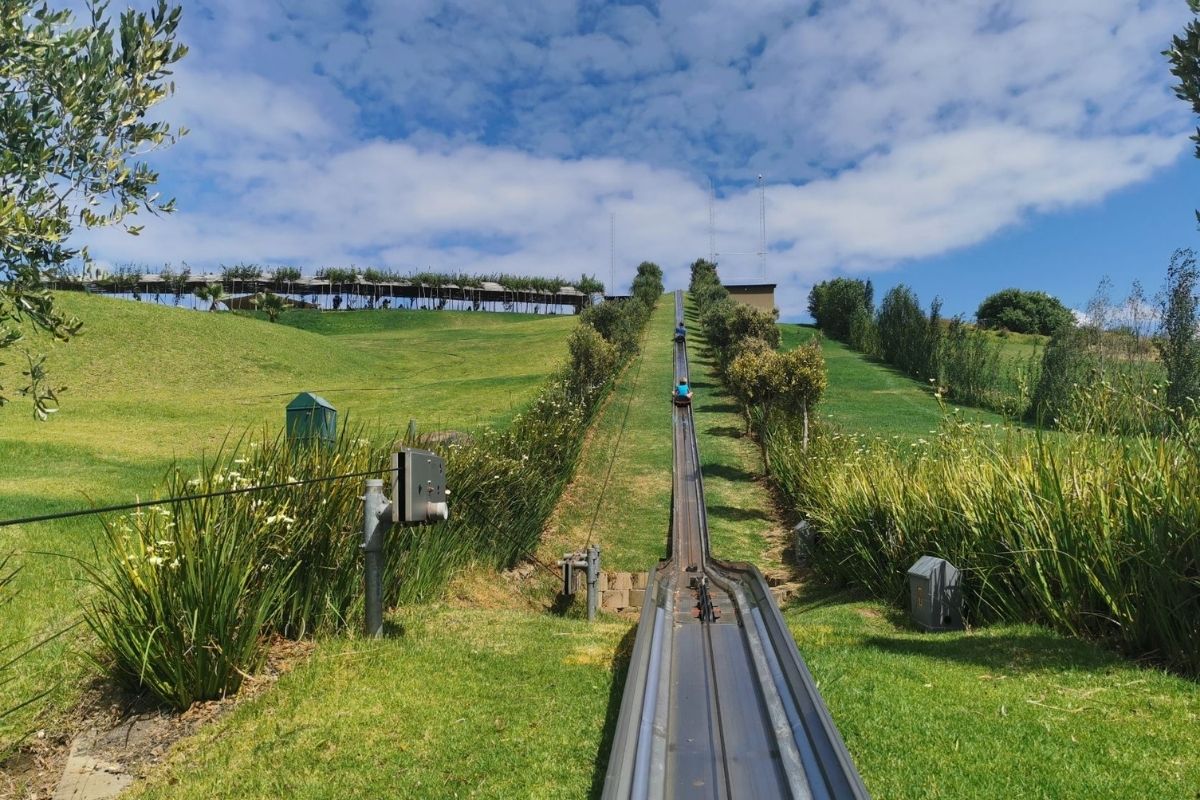 Going uphill in the bobsled at Cool Runnings in Cape Town - one of the most fun things to do in Cape Town with kids