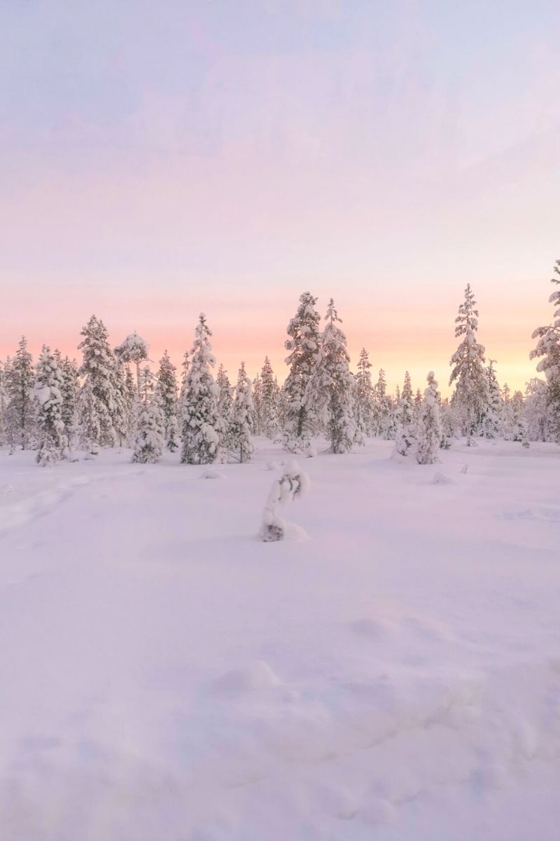 Magical colours of Lapland at sunrise.
