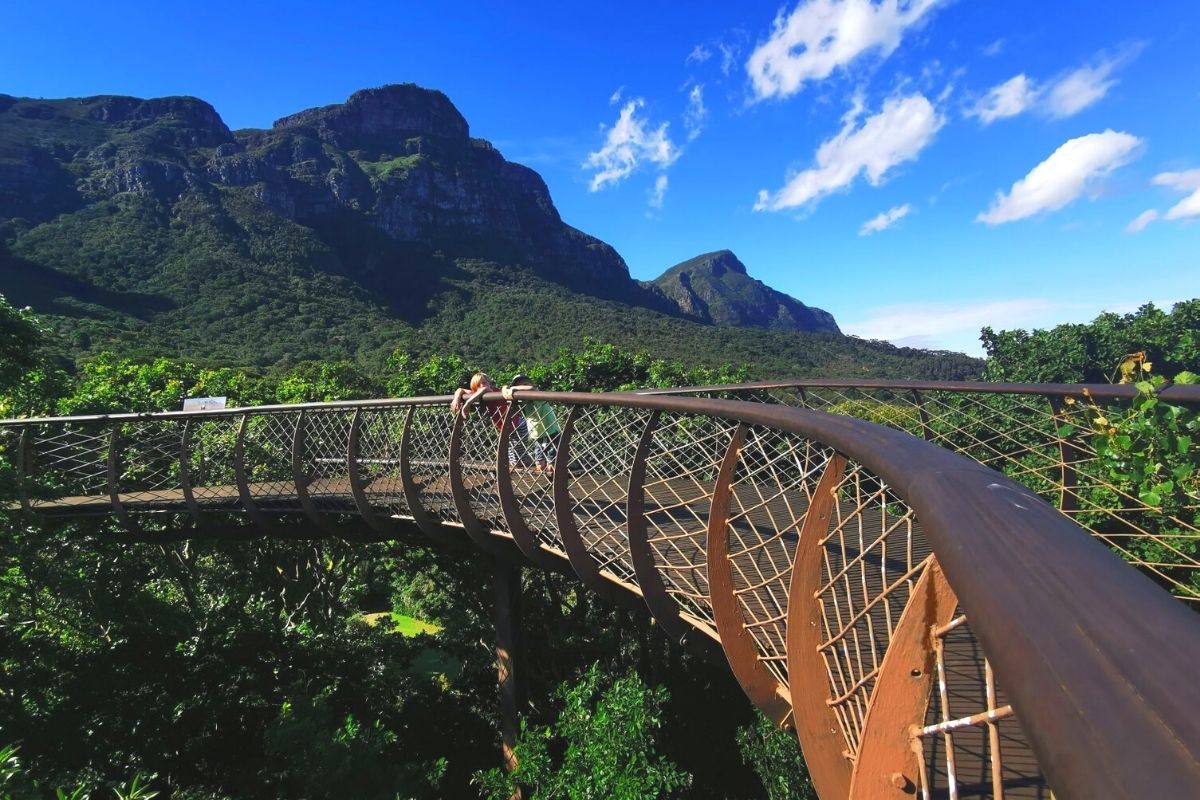 The impressive Tree Canpy Walkway (The Boomsland) at The Kirstenbosch National Botanical Garden