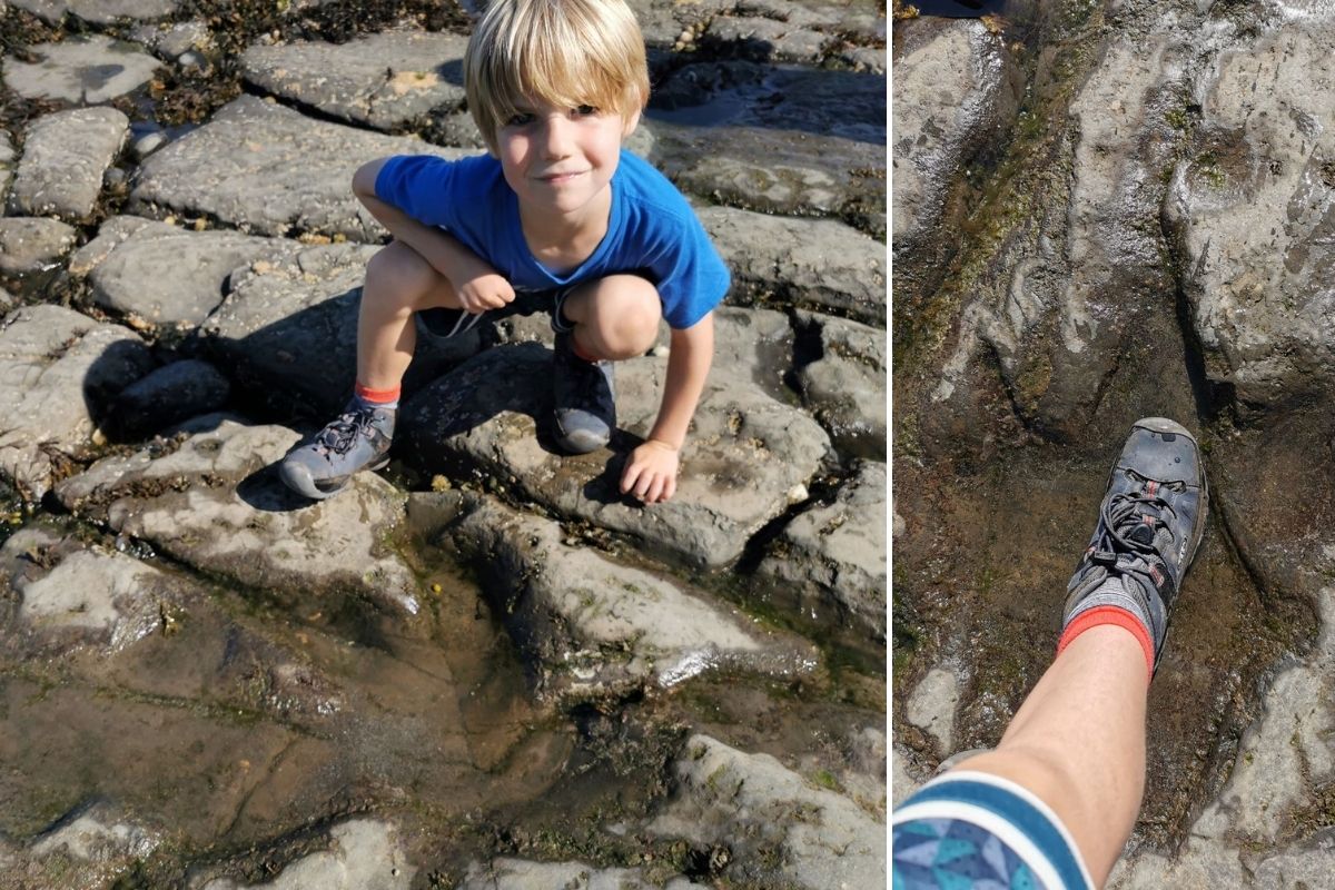 Dinosaur footprints Skye beach -Little boy with his foot in the dinosaur footprints on An Corran beach.