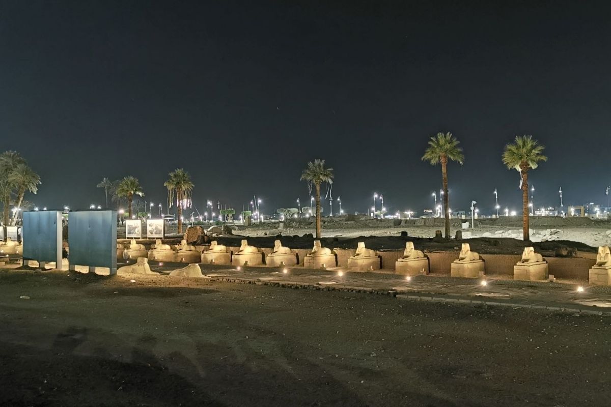 Avenue of the Sphinxes in Luxor at night.