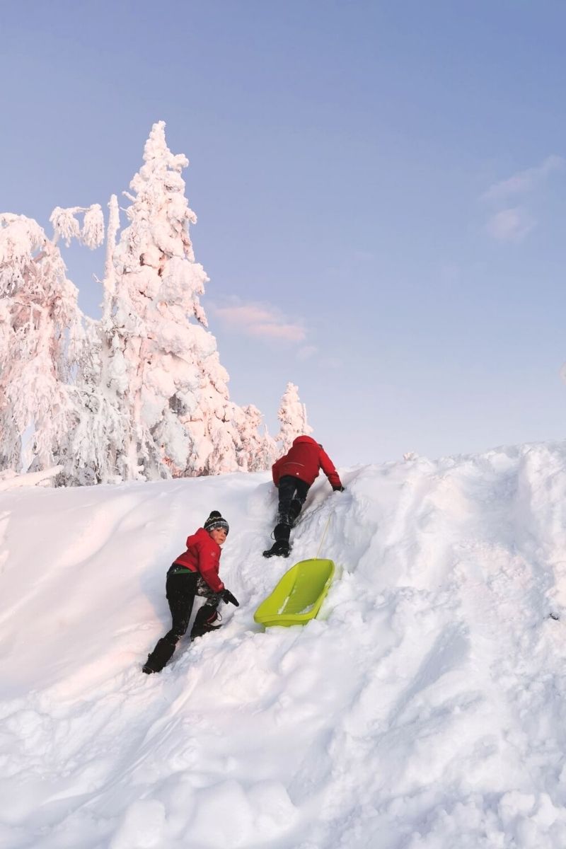 Kids climbing up a snowy mound with their sledge in Lapland.