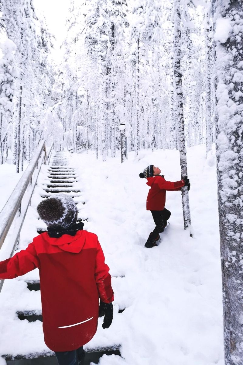 Kids shaking the snow out of a tree in snowy Lapland.