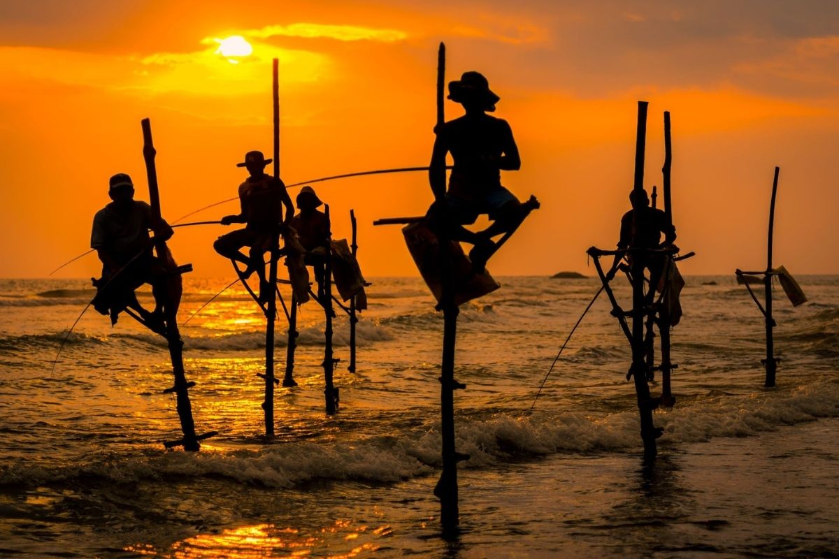 Stilt fishermen in Sri Lanka at sunset.