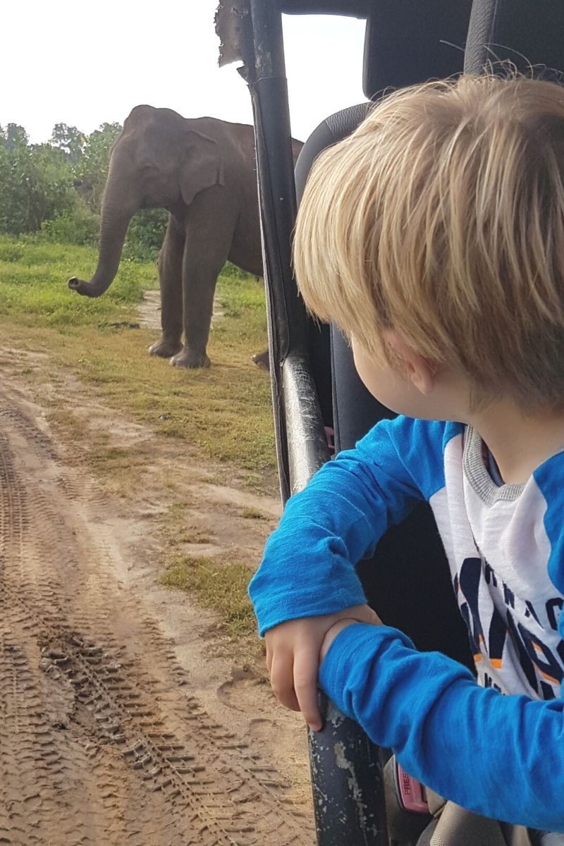 child spotting an elephant on safari in Udawalawe National Park in Sri Lanka - one of the best things to do in Sri Lanka with kids.