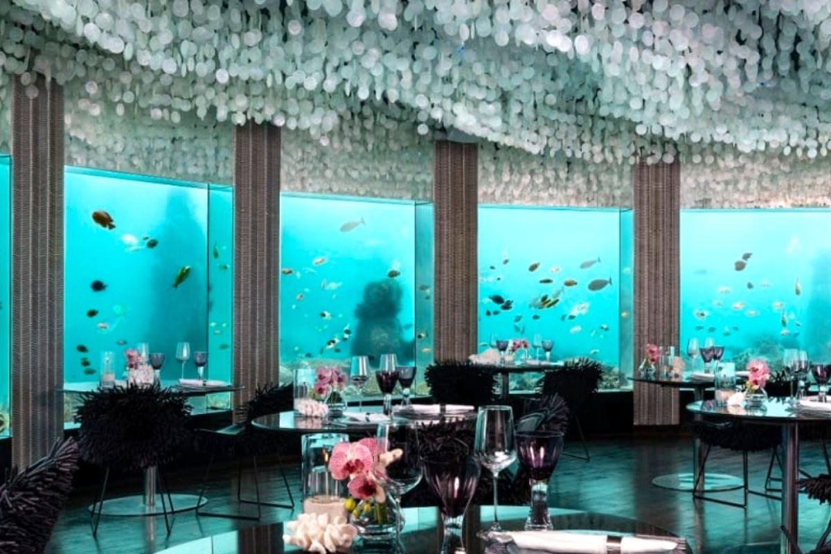 Subsix Underwater restaurant at Niyama Private Islands Maldives luxury family resort.
