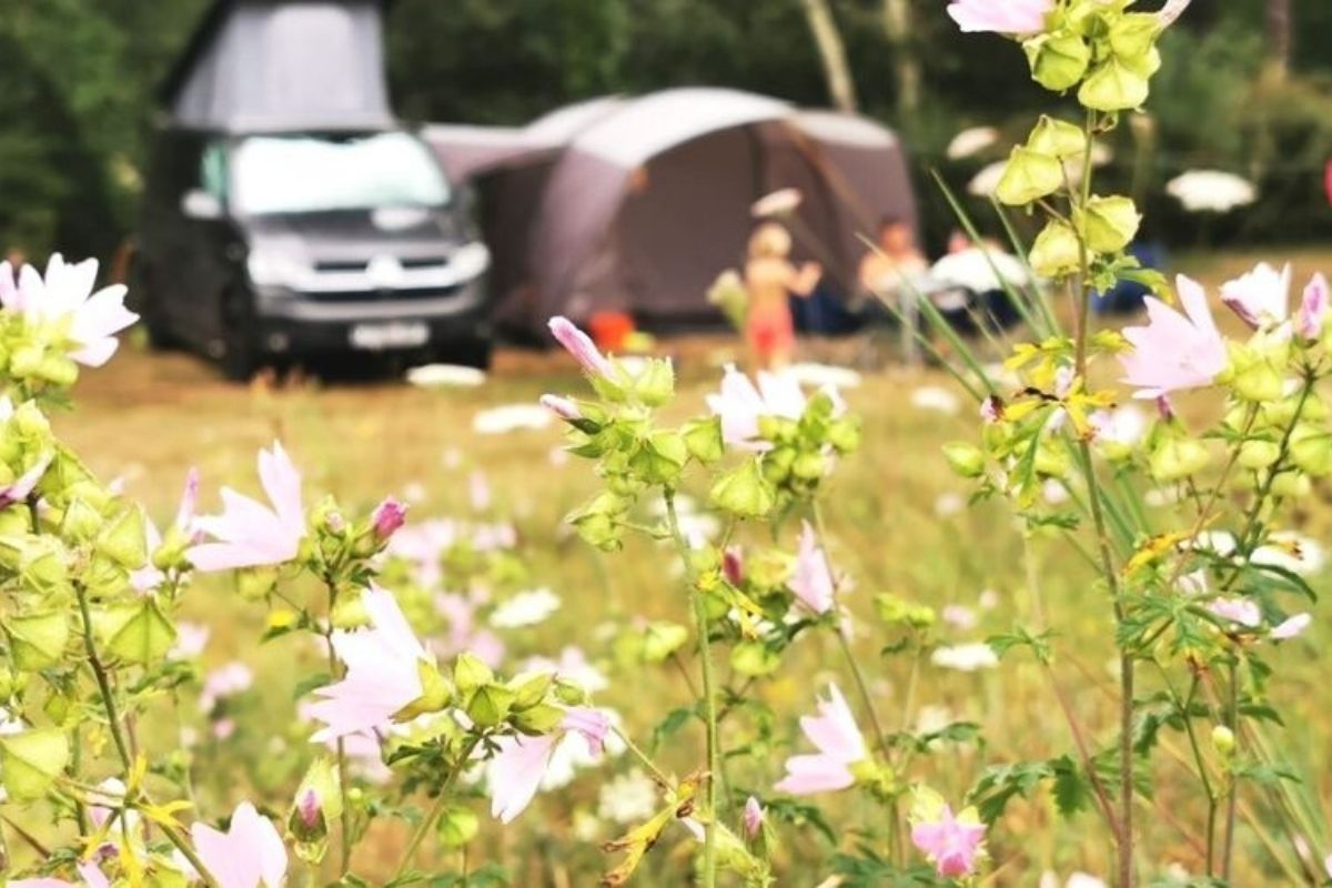 campervan with awning obscured by a meadow of flowers.