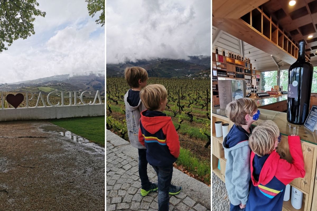 Kids visiting Quinta da Pacheca in the Douro Valley in Portugal.