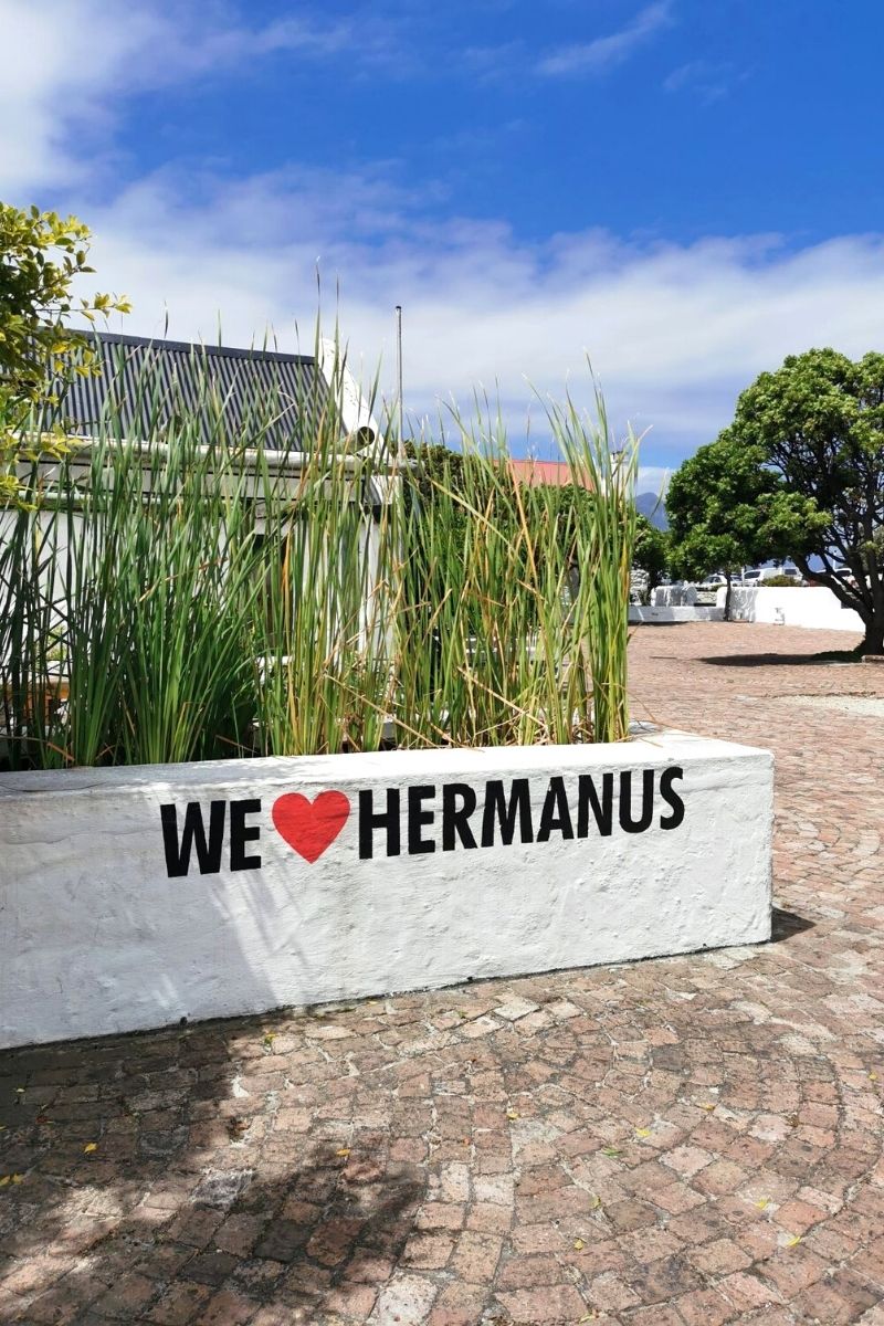 We love Hermanus sign.