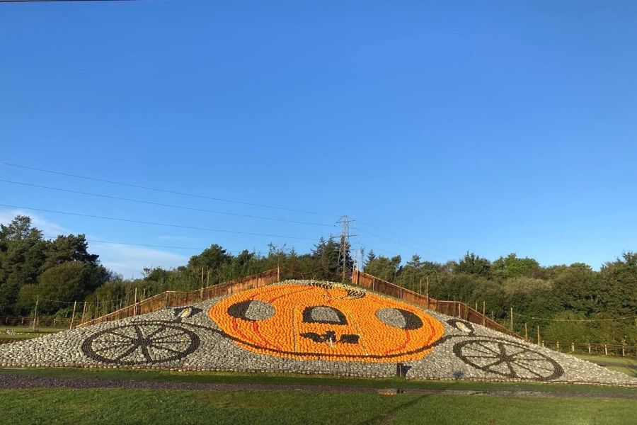 Cinderella carriage picture made out of pumpkins at Sunnyside Farm where you can go pumpkin picking in Hampshire.