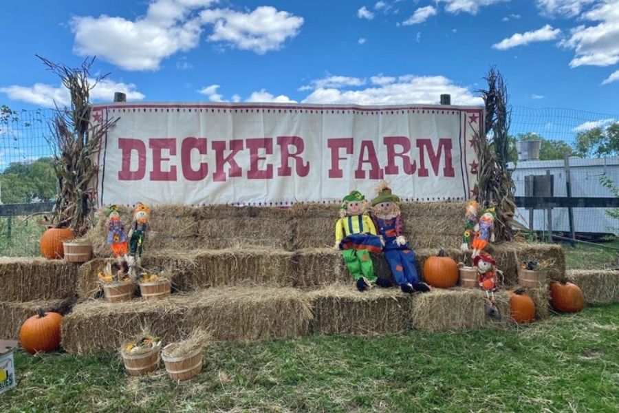 Decker Farm pumpkin patch in New York.