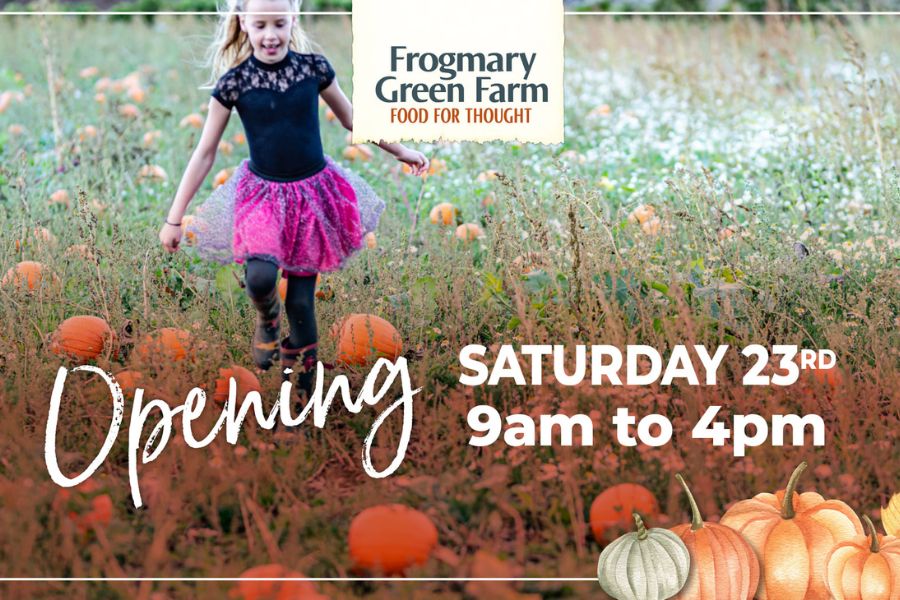 Frogmary Green Farm pumpkin picking in Somerset opening details.