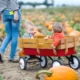 Lady pulling a cart with 2 small children in it through a pumpkin field in Hampshire.