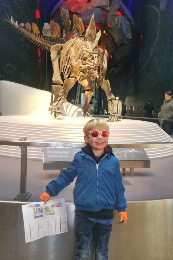 Little boy in sunglasses standing in front of a Stegosaurus skeleton at the Natural History Museum in London.