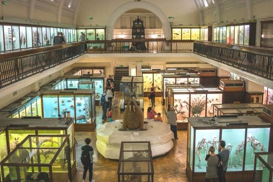 Natural History exhibits in the Horniman Museum in London.