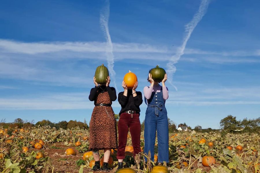 Three people holding pumpkins in front of their faces at Thurloxton Farm Pumpkin Patch in Somerset.