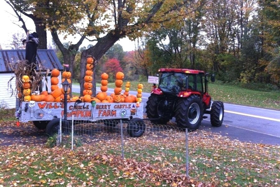 Tractor with a trailor full of carved pumpkins stacked on top of each other.