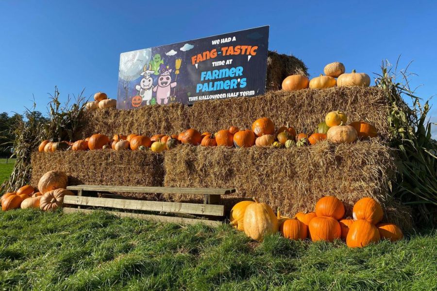 Farmer Palmer's pumpkin display.