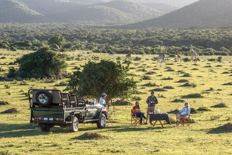 People enjoying a safari drink on safari at Kariega Game Reserve in South Africa.