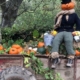 Pumpkin scarecrow sitting on a trailor at Bincombe Bumps Pumpkins Patch in Dorset.