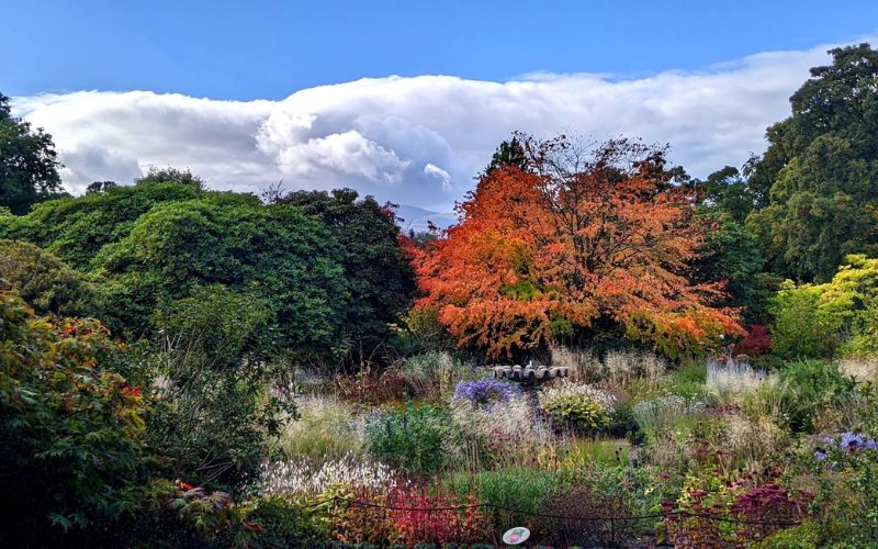 Autumn colours at National Trust Bodnant Garden in North Wales.