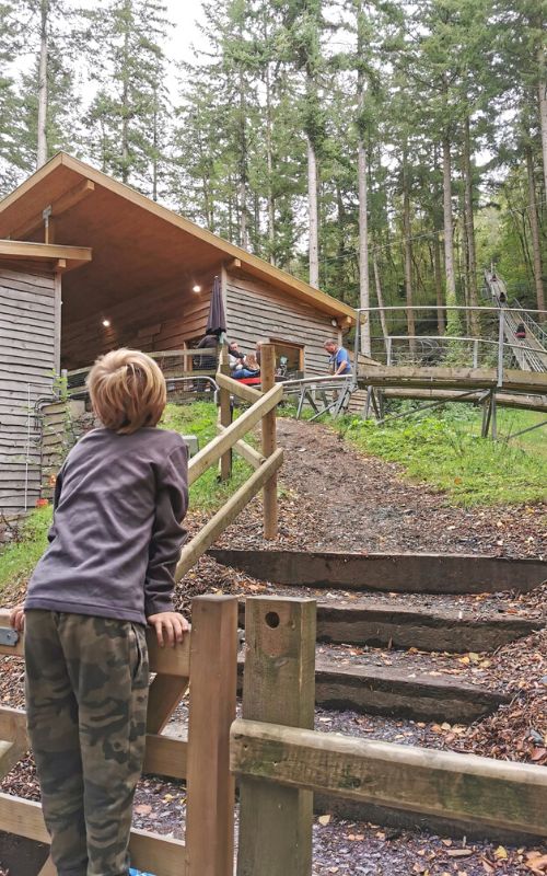 Child watching the Fforest Coaster at Zip World Fforest in North Wales.