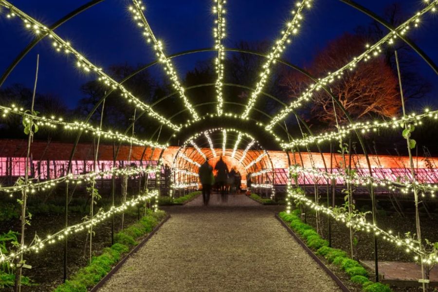 Where To See The Best Christmas Lights In Norfolk In 2024