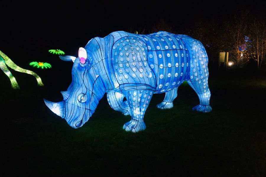 Illuminated rhino at Thursford Enchanted Journey of Light in Norfolk.