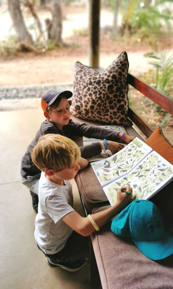 Boys ticking off animals that they saw on safari in their safari animal sightings book.