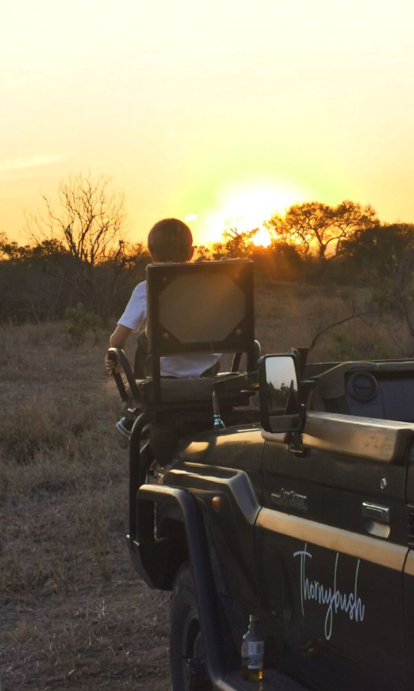 Child on the spotter seat of a safari vehicle at sunset in the Thornybush Game Reserve.
