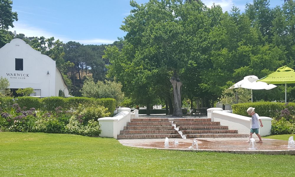 Child playing in the water feature at Warwick Wine Estate in South Africa.