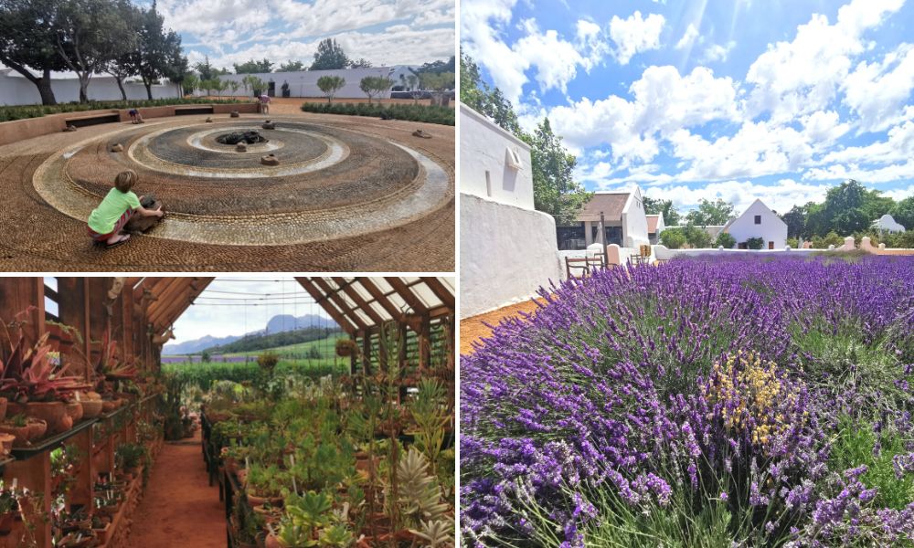 Family visit to Babylonstoren Wine Farm in South Africa.