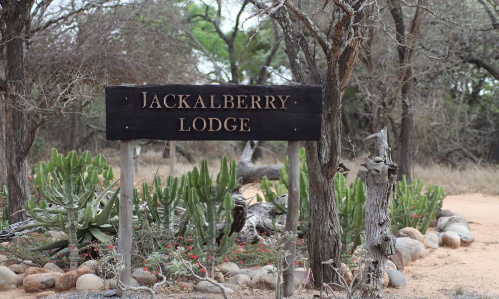 Entrance to Jackalberry Lodge for our review of Jackalberry Lodge.