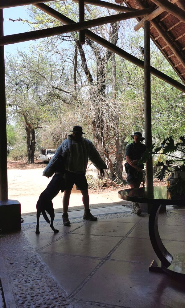 K-9 demonstration at Thornybush Game Lodge.