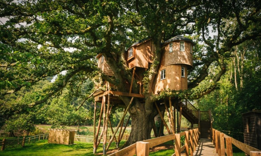Large treehouse style holiday home at Treetops tree house holidays for families.