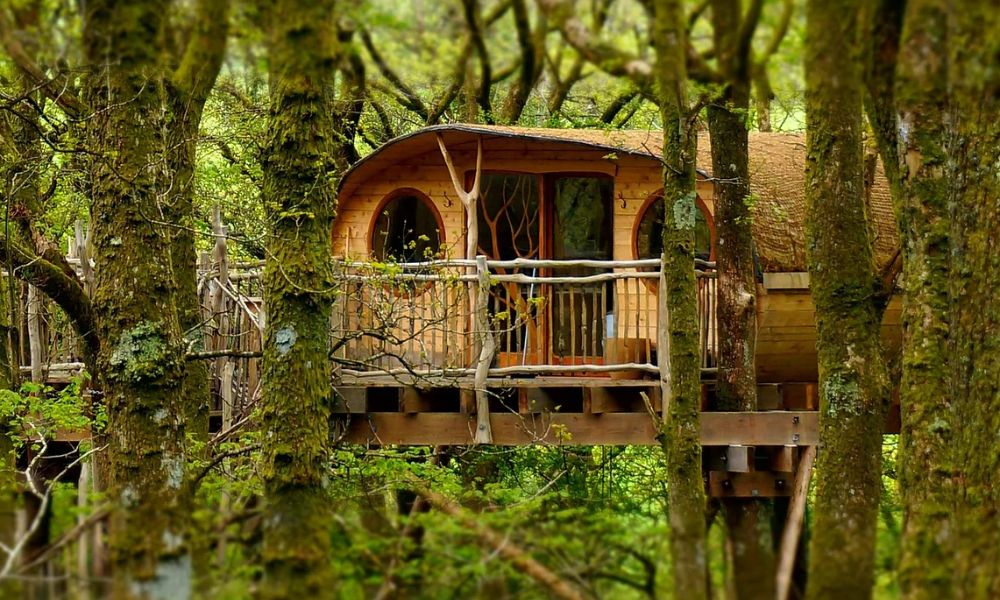 Living Room treehouse experience near Snowdonia National Park in Wales.
