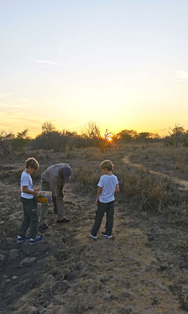 Spotter pointing out animal footprints to kids on safari at Jackalberry Lodge in the Thornybush Game Reserve in South Africa.